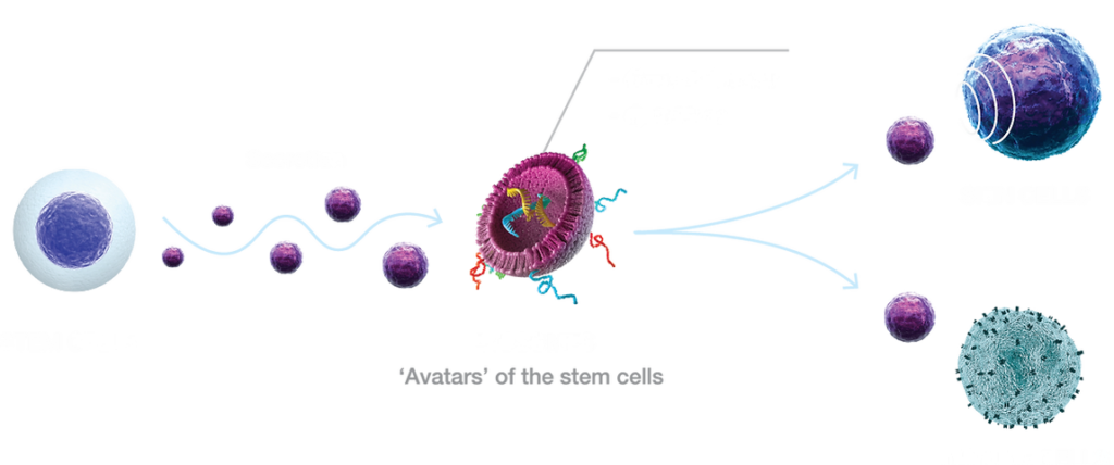 Exosomes for Hair Restoration in Denver