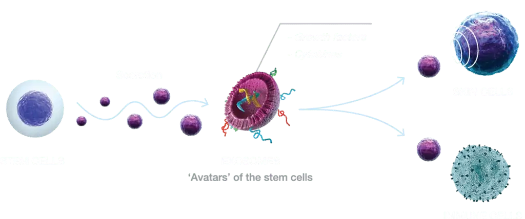 Exosomes for Hair Restoration in Denver