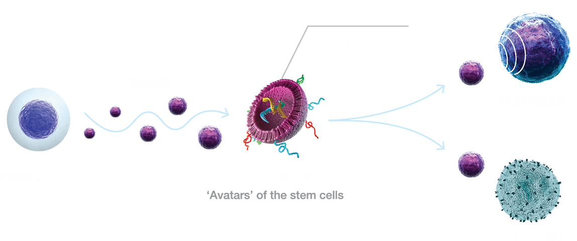 Exosomes for Hair Restoration in Denver