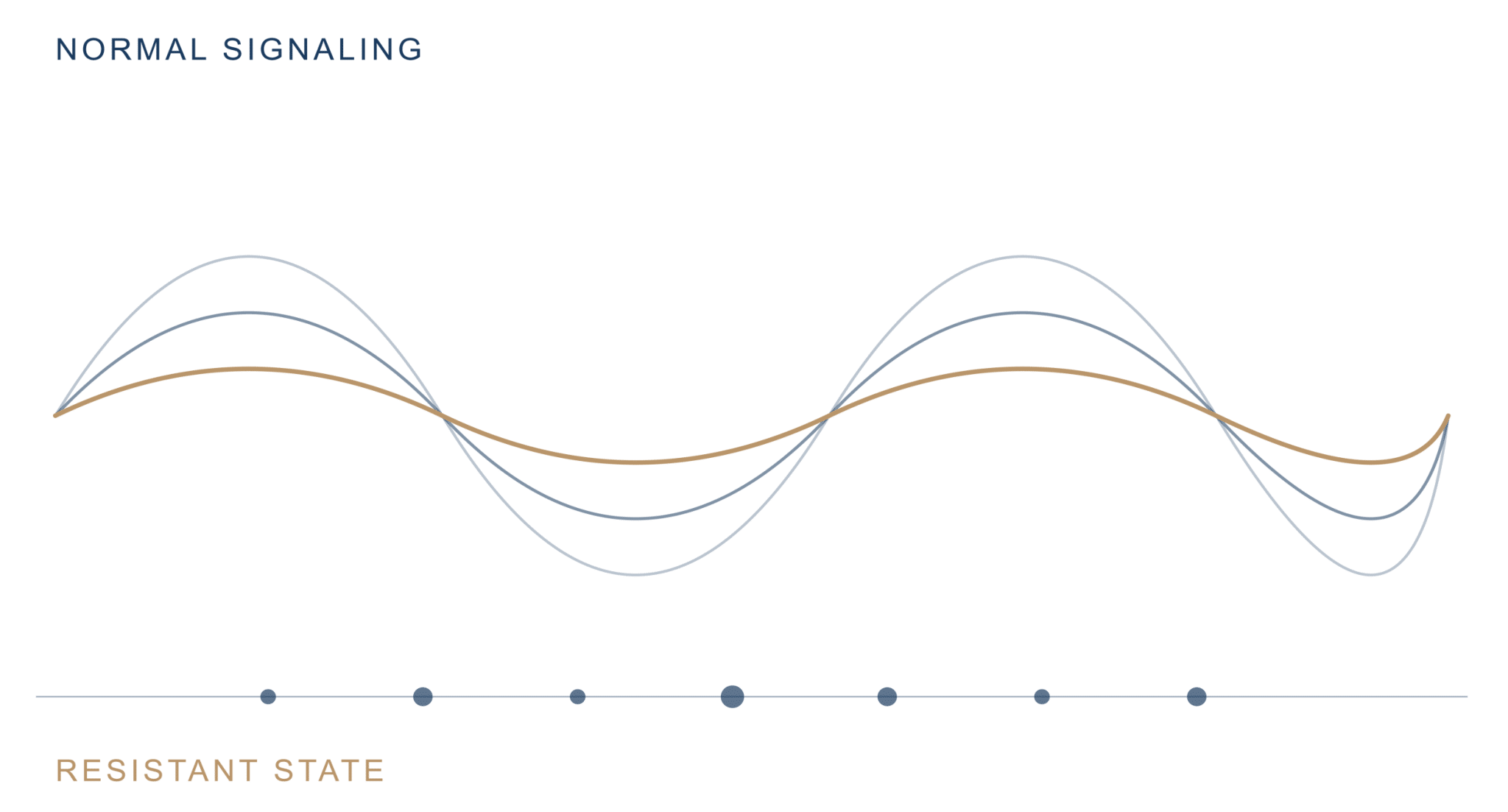 insulin-wave and PCOS GLP-1